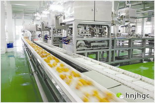 食品車間GMP工程設計的核心特點與專業設計服務價值