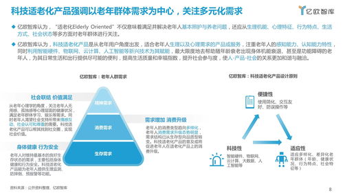 《2021中國科技適老化產(chǎn)品研究報(bào)告》——信息技術(shù)咨詢服務(wù)的角色與展望